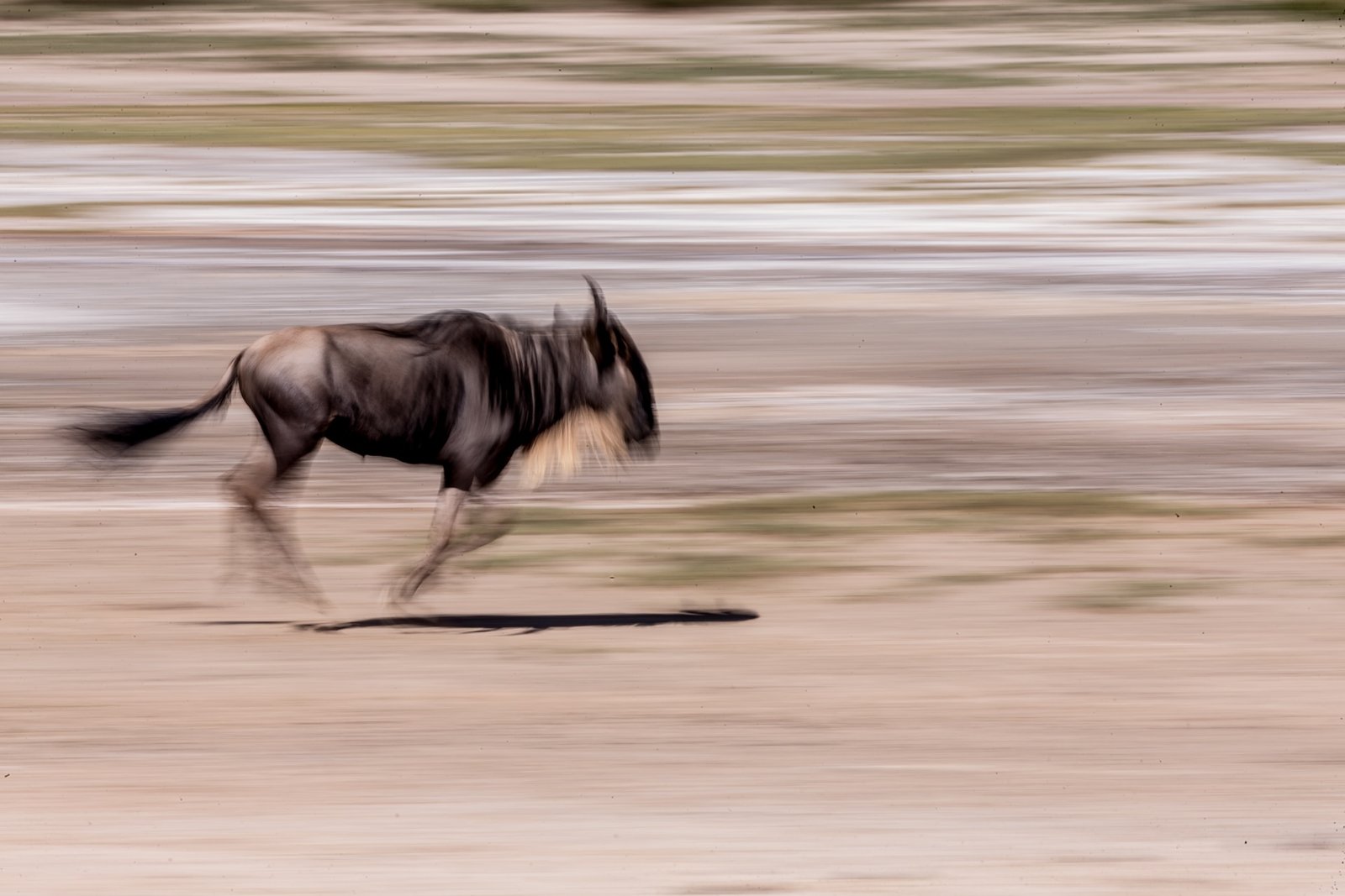 Wildbeest Migration River Crossing (6 Days)