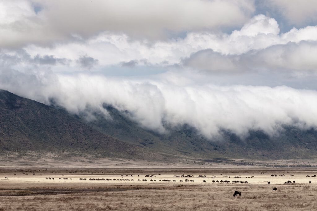 ngorongoro crater